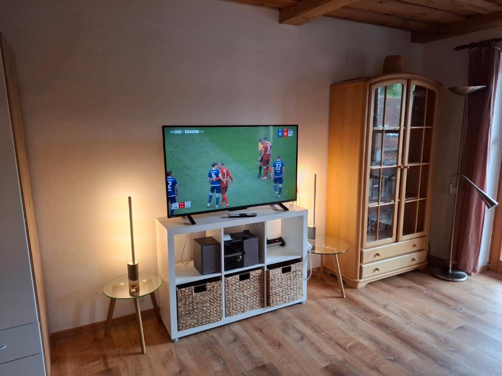 TV a/nebo společenská místnost v ubytování Dreiländereck mit Sauna und Pool, Wohnung 403