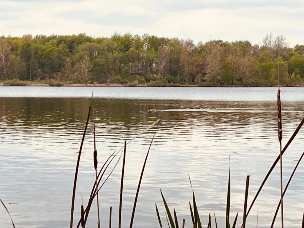 Příroda nedaleko prázdninového domu