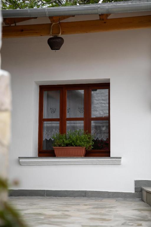 Zahrada ubytování Guesthouse Lani