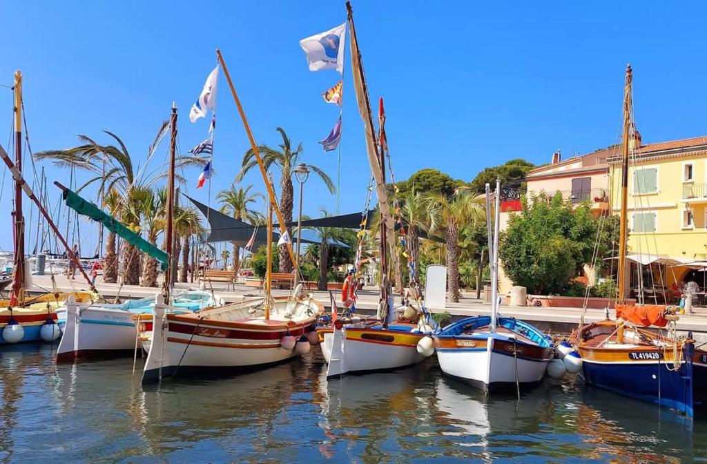 un groupe de bateaux amarrés dans un port battant pavillon dans l'établissement presqu'il de st Mandrier sur mer var location saisonnières, à Saint-Mandrier-sur-Mer