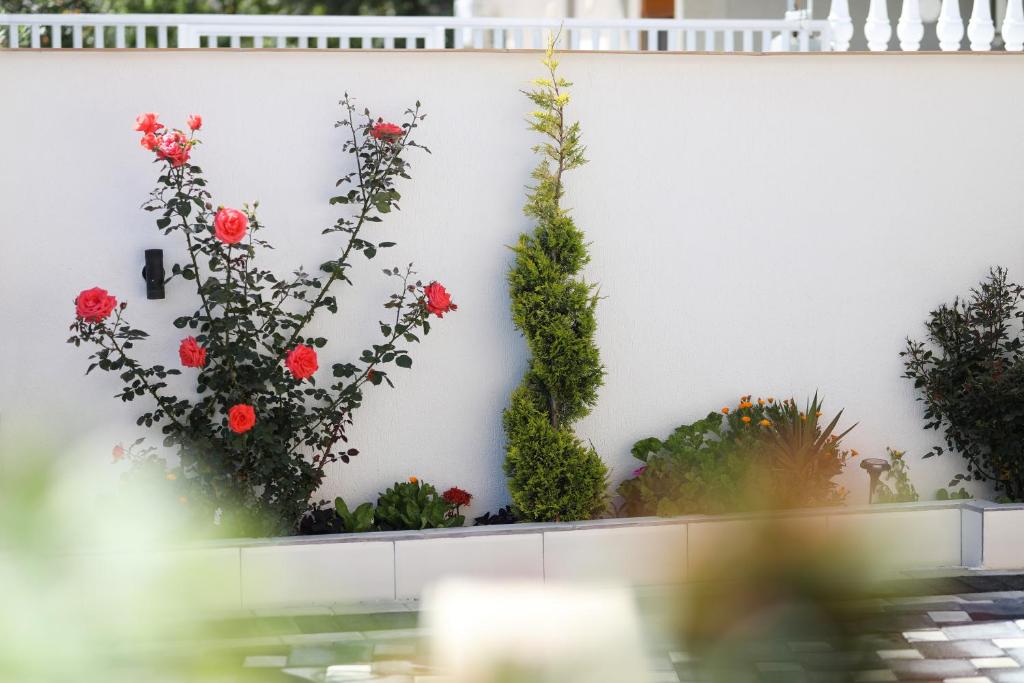 Zahrada ubytování Vila Feliz - Premium Rooms with Free Private Parking