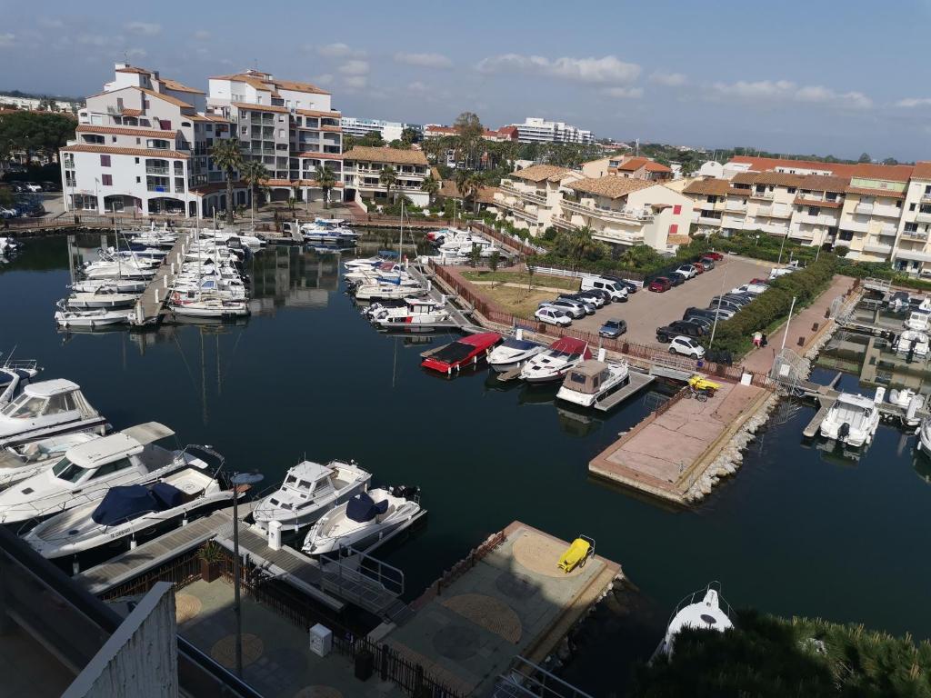 une vue aérienne d'une marina avec des bateaux dans l'eau dans l'établissement Appartement T2 Marina, à La Tour-de-Salvagny