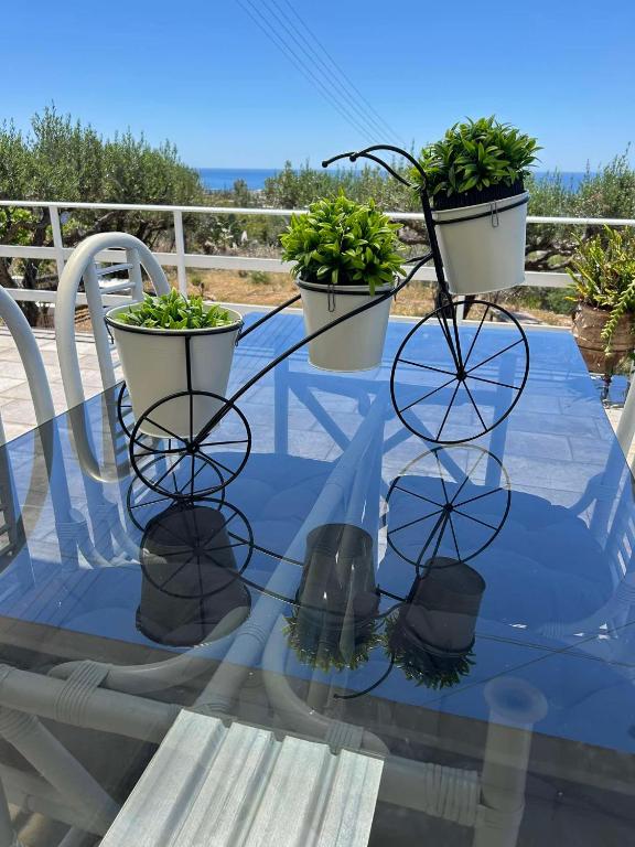 a glass table with three plants on top of it at Villa Evdokia II in Makry Gialos