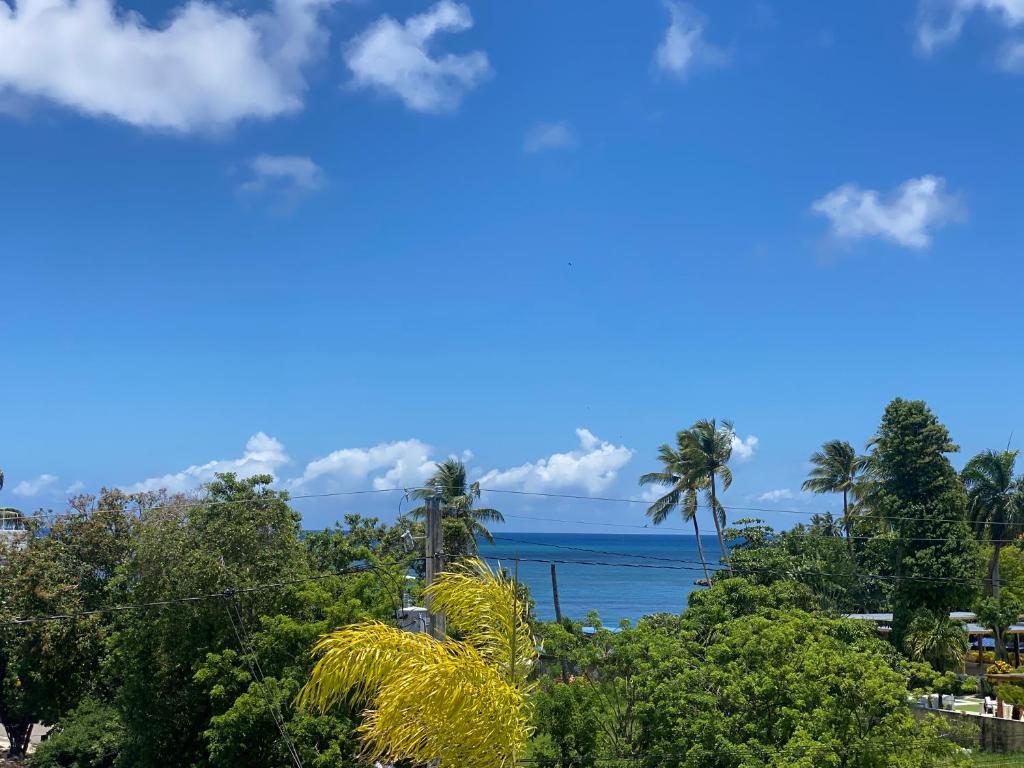Fotografie z fotogalerie ubytování Hotel vista del mar v destinaci Río San Juan
