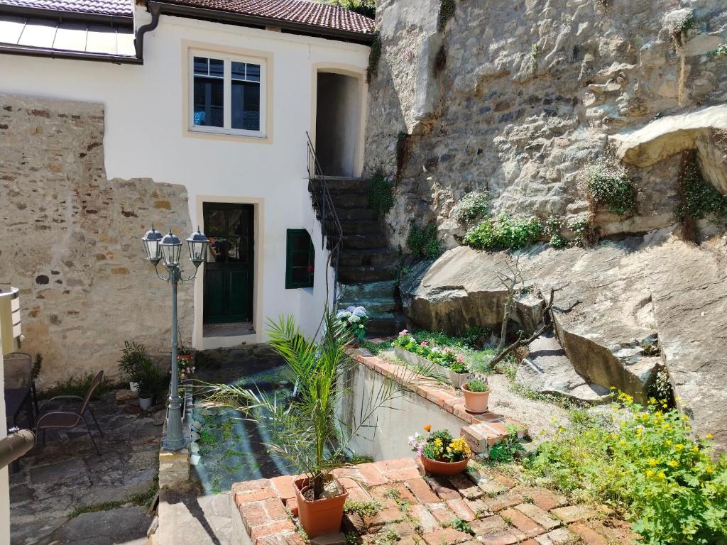 Zahrada ubytování Spitz West