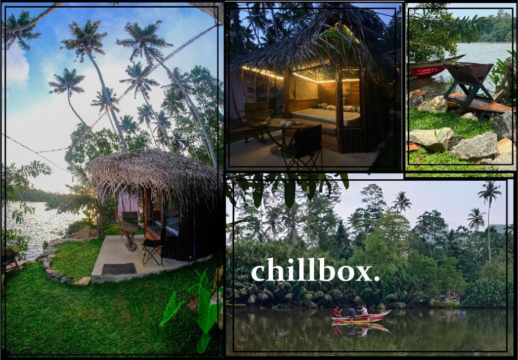 Fotografie z fotogalerie ubytování Chillbox v destinaci Weligama