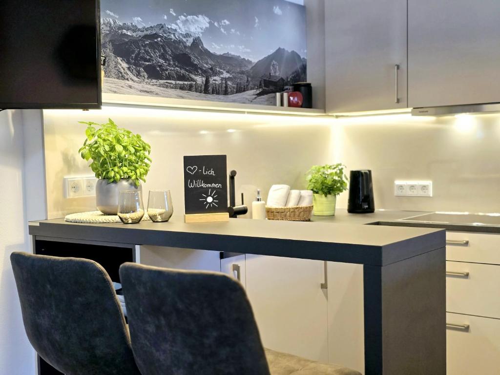 Kuchyň nebo kuchyňský kout v ubytování Ferienwohnungen Alpspitzecho