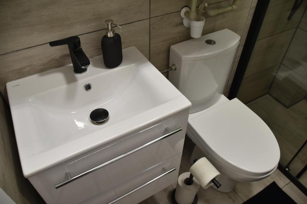 Koupelna v ubytování Apartmán Dva na moto