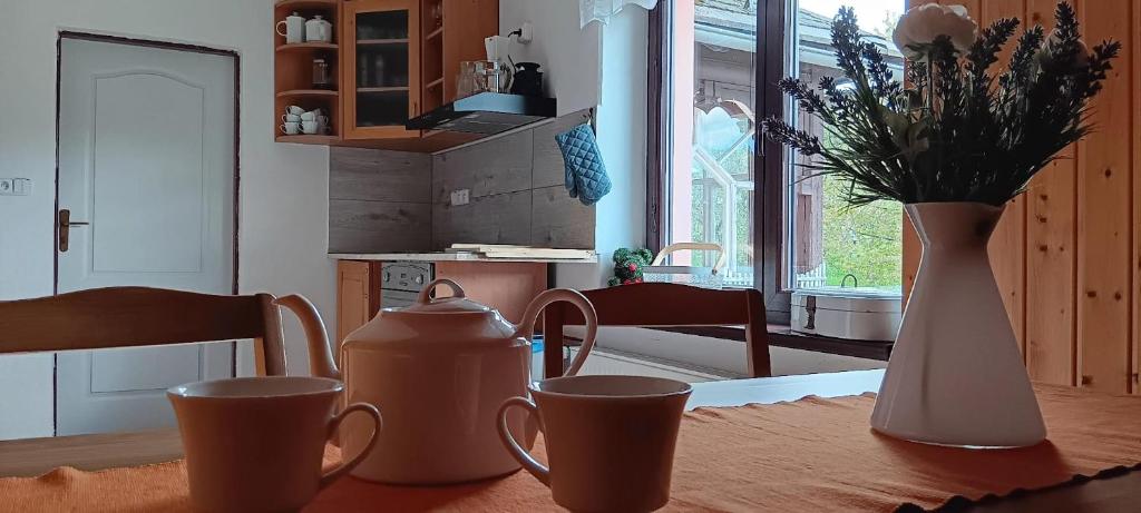 Kuchyň nebo kuchyňský kout v ubytování Vila Pramínek, Horní Maršov, Krkonoše