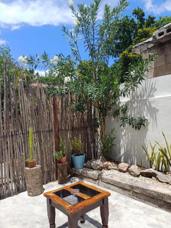 Zahrada ubytování Casa Candelita
