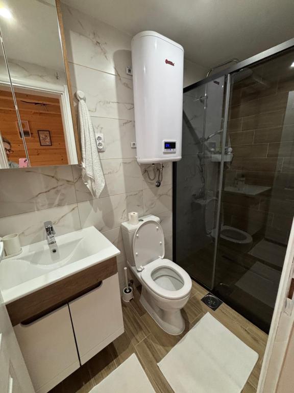 Vannituba majutusasutuses Apartman Lenka