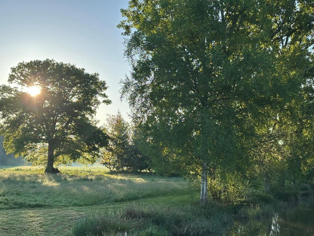 deux arbres dans un champ où le soleil brille entre eux dans l'établissement Rives du Bel Air - Hébergement & caravaning -, à Passais-la-Conception