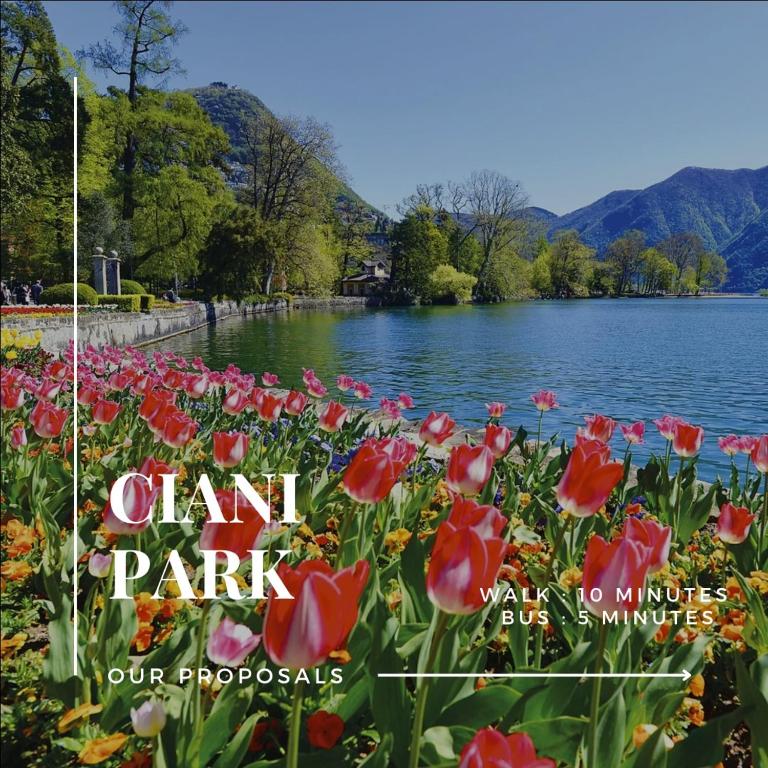 Gotthard Penthouse, Lake view - Resim 21