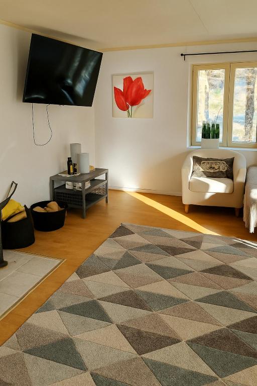 TV a/nebo společenská místnost v ubytování Gränna View