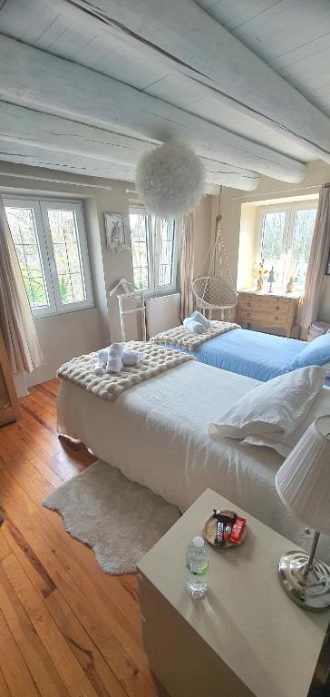 A l'orée des volcans - Superior King Of Twin Room
