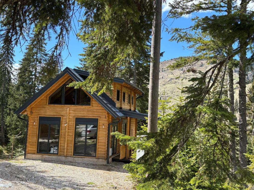 a cabin in the woods with trees at Mirsads Mountain Cottage in Plav