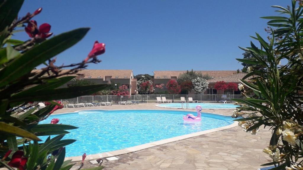 a swimming pool with two pink swans in it at Villa ALOHA pool-beach 500m in Santa-Maria-Poggio