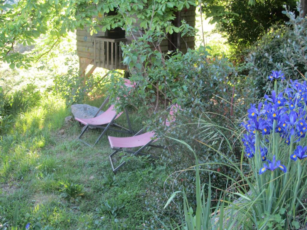 Zahrada ubytování La Colline Bleue