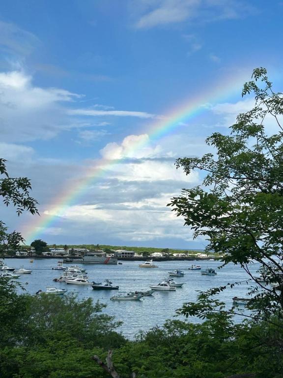 Casa Verde Vacation Garden Home