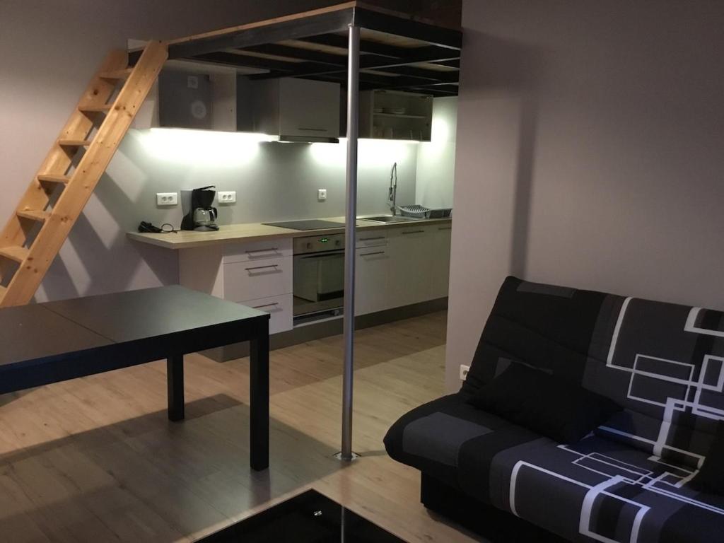 un salon avec un canapé et une cuisine dans l'établissement Gîte meublée en campagne proche Albi, à Castelnau-de-Lévis