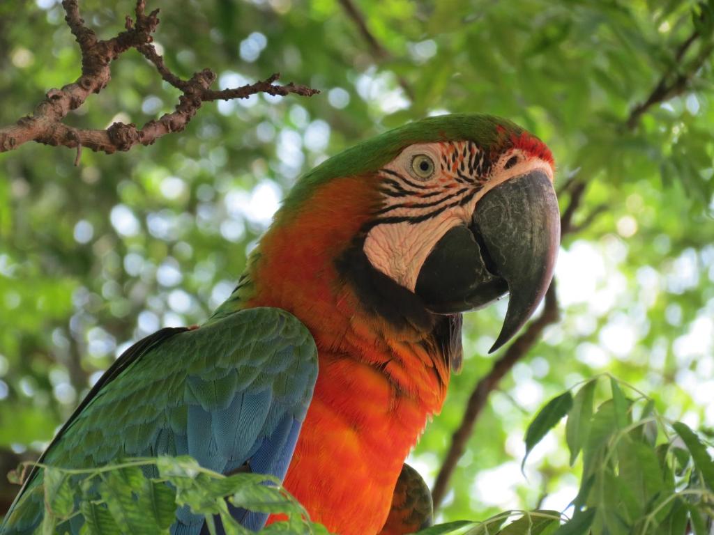  Hotel Fazenda Jacaúna