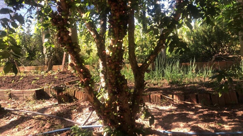 Gallery image of Sitio DusCosso in Bofete