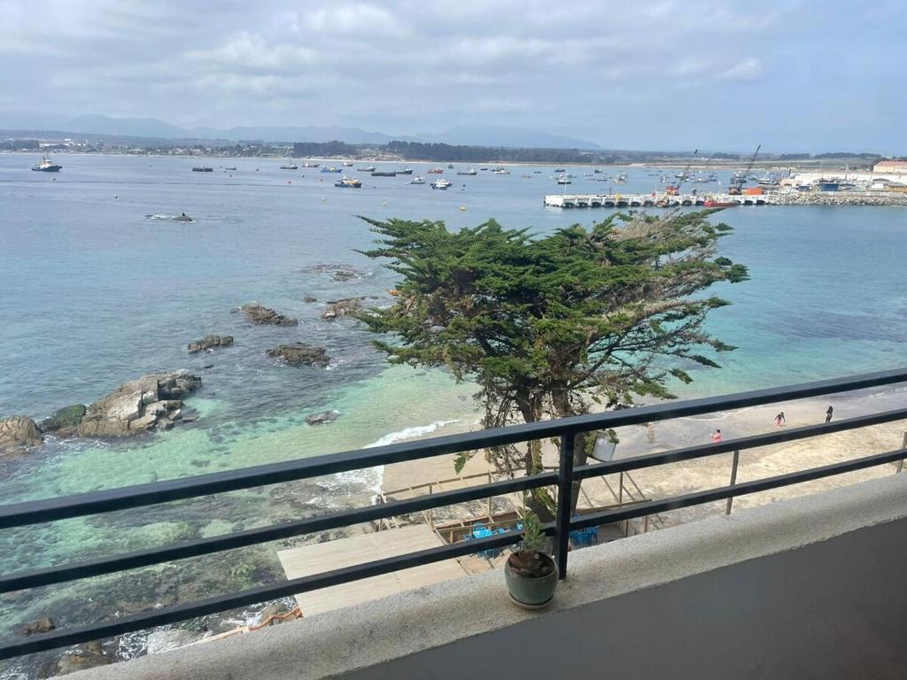 Departamento en Quintero, Quintero (updated prices 2026)