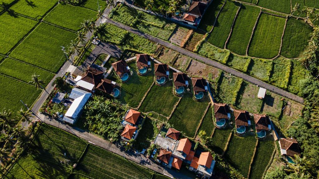Zahrada ubytování DITUJU Ubud by Pramana Villas