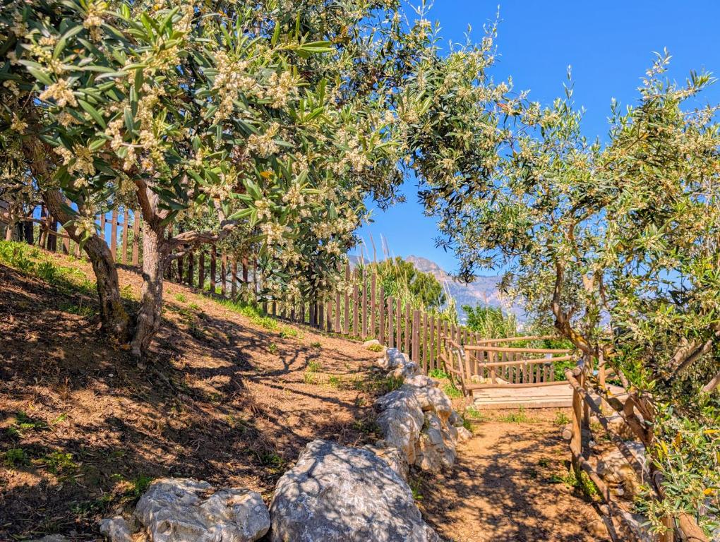 Paesaggio naturale nelle vicinanze del bed & breakfast