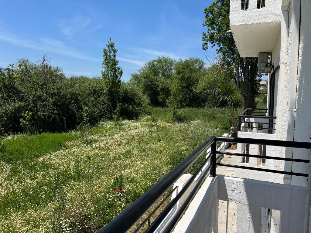 Vonkajšia záhrada v ubytovaní Zourpos Studios & Apartments