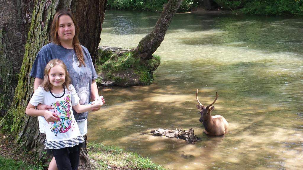 a man and a little girl standing next to a deer in the water at Two Rivers Lodge in Bryson City