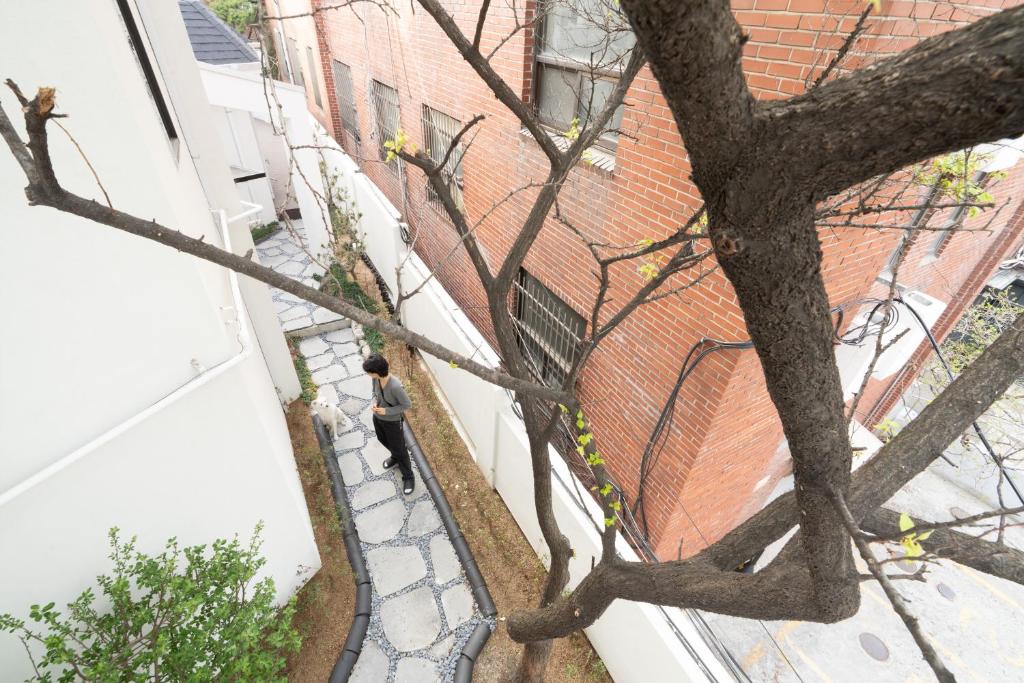 Fotografie z fotogalerie ubytování Boro Hanok Hostel in Myeongdong v Soulu
