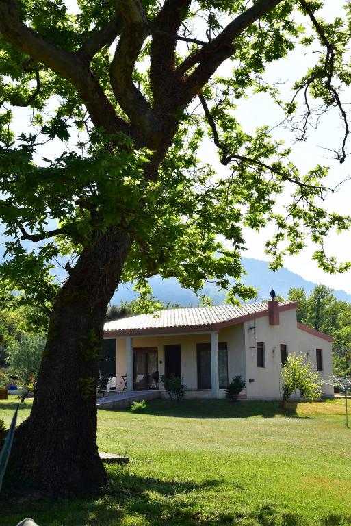 a house with a tree in front of it at Villa Asteria in Samothraki