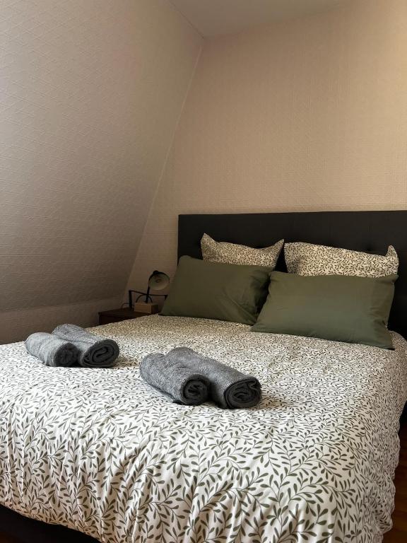 un lit avec deux serviettes dessus dans l'établissement Appartement au coeur de Saumur - Chambre climatisée, à Saumur