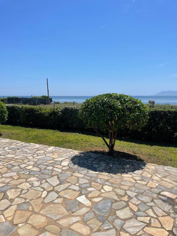 Φυσικό τοπίο κοντά σε αυτή η παραθεριστική κατοικία