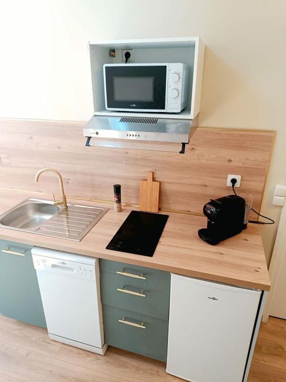 - une cuisine avec un comptoir, un four micro-ondes et un évier dans l'établissement Studio calme avec jacuzzi accès bus direct gare, à Villeurbanne