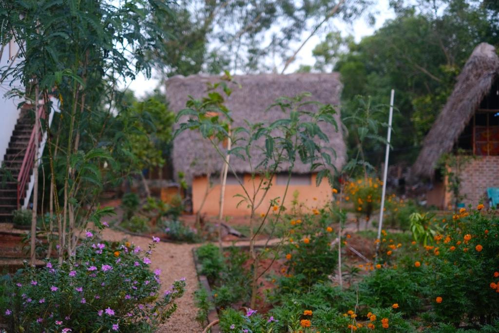 Gallery image of Reve living in Auroville