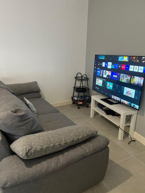 Televízia a/alebo spoločenská miestnosť v ubytovaní Les appartements d’Edgar