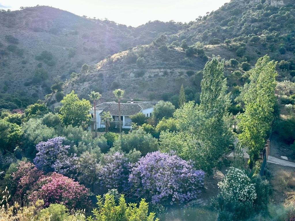 a house in the middle of a mountain with trees at Authentic Luxury Villa in Oasis with Pool close to Malaga in Almogía
