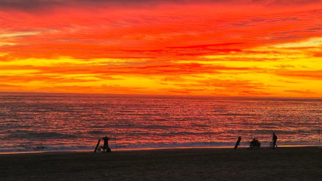 Naturlandskabet i nærheden af lejligheden