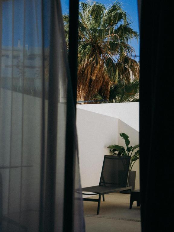 a chair and a plant in a room with a palm tree at HOTEL ALOVE in San José