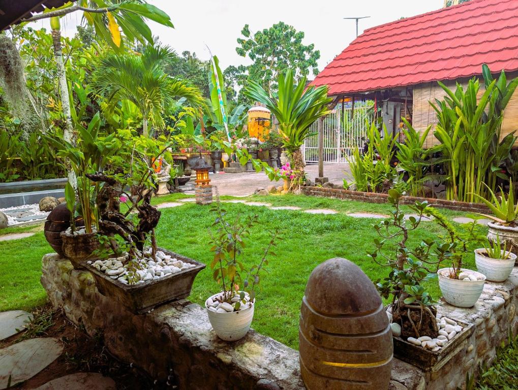 Zahrada ubytování Ayumar Homestay Medewi