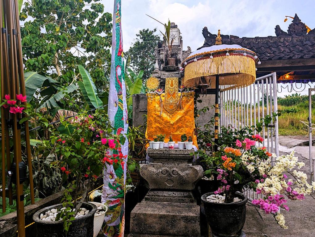 Zahrada ubytování Ayumar Homestay Medewi