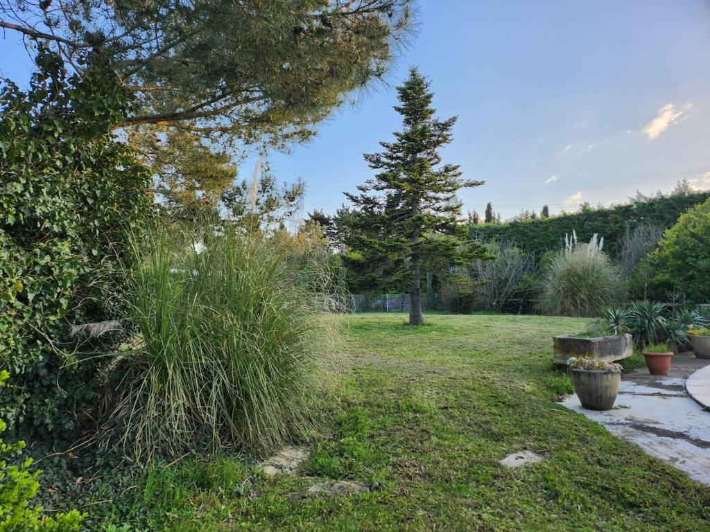 un jardin avec un banc, des arbres et de la pelouse dans l'établissement Maison de campagne, à Châteaurenard