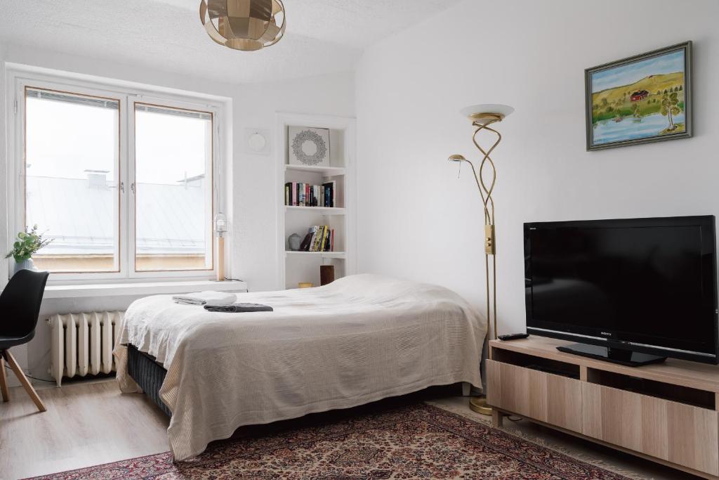 TV/trung tâm giải trí tại Renovated Top Floor Studio in Kallio