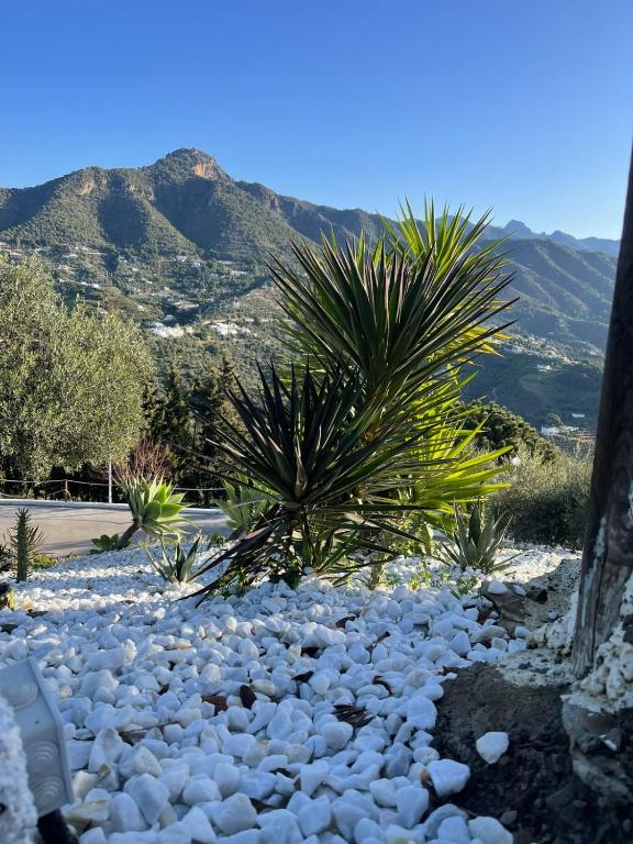 Paisaje cerca of this country house