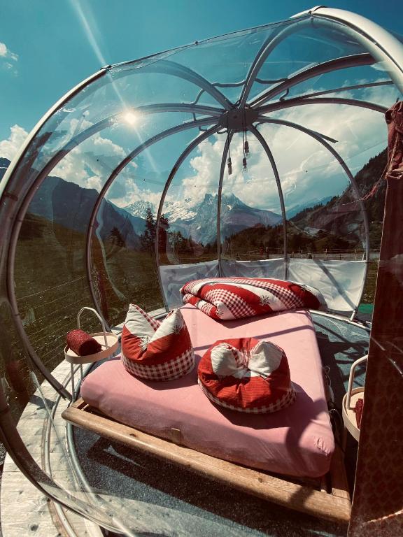 Příroda nedaleko luxury tent