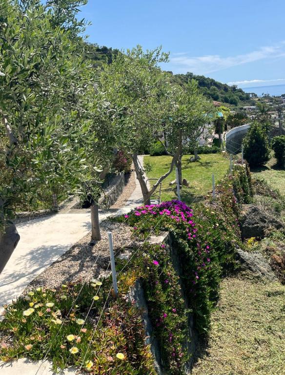 Zahrada ubytování Villa INARIME