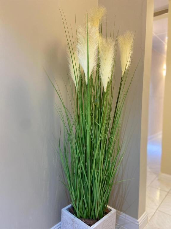 Φωτογραφία από το άλμπουμ του Garden Residence στο Ντουμπάι
