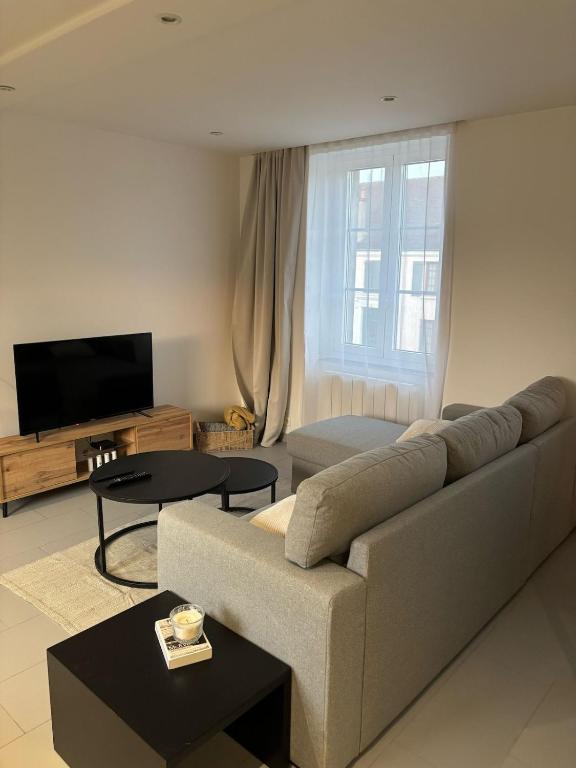 un salon avec un canapé et une télévision à écran plat dans l'établissement Appartement neuf CDG, Asterix, Chantilly, Mer de Sable, à La Chapelle-en-Serval